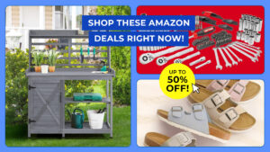 offerpad vs opendoor