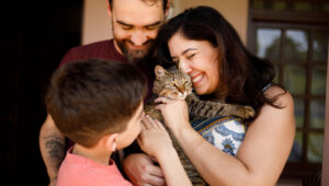 offerpad vs opendoor