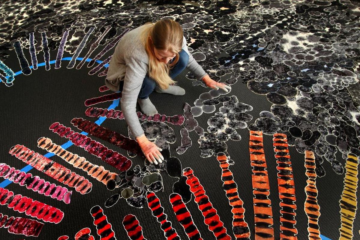 A previous Polly Apfelbaum installation at the the Kemper Museum of Contemporary Art involved thousands of pieces. Another show is coming to the museum to help kick off its 25th anniversary year.