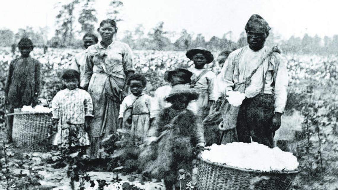 
A slave family picking cotton outside Savannah in the 1850s. 
