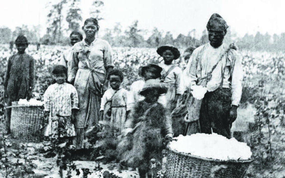 
A slave family picking cotton outside Savannah in the 1850s. 
