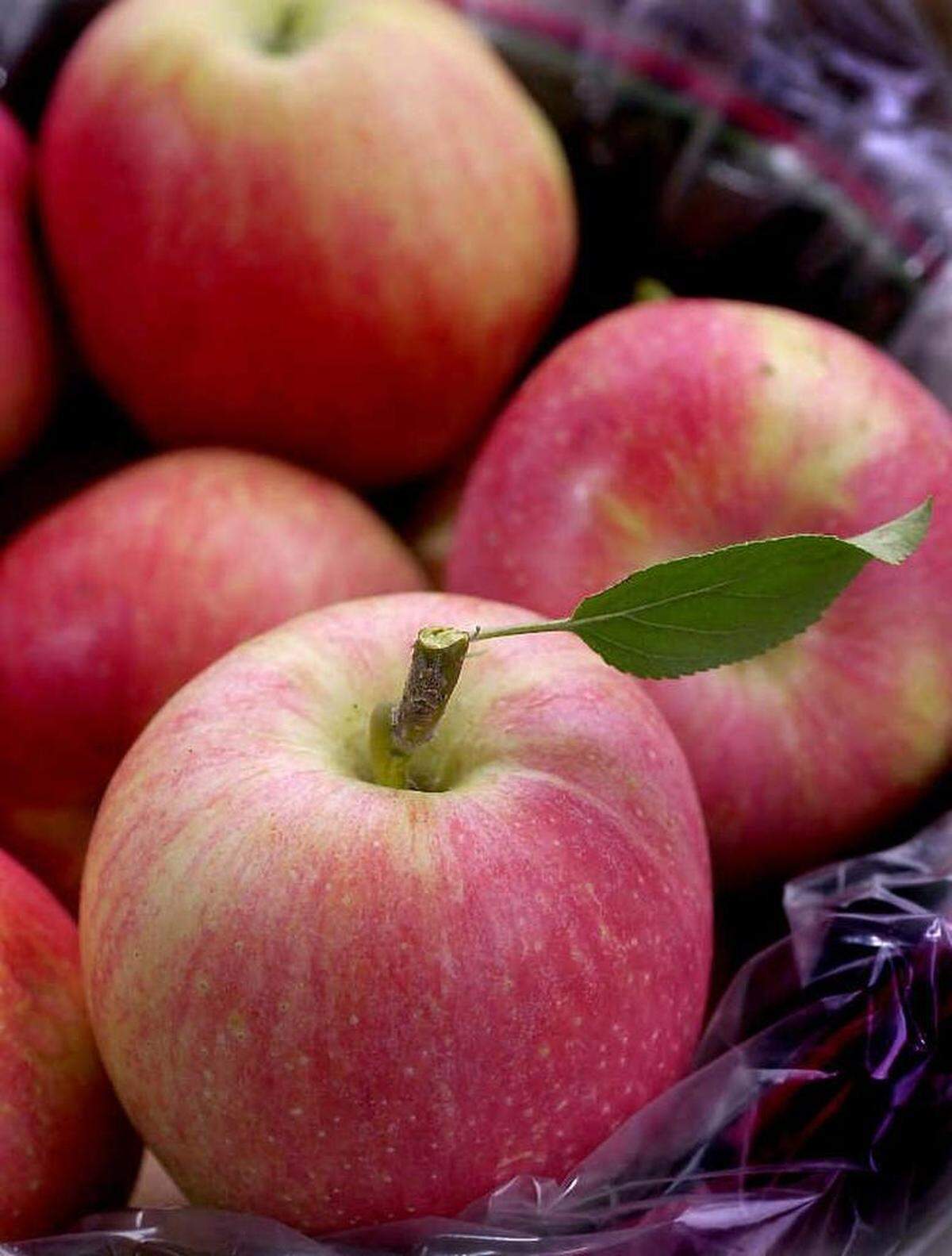 Applefest is Oct. 6-7 in Weston.
