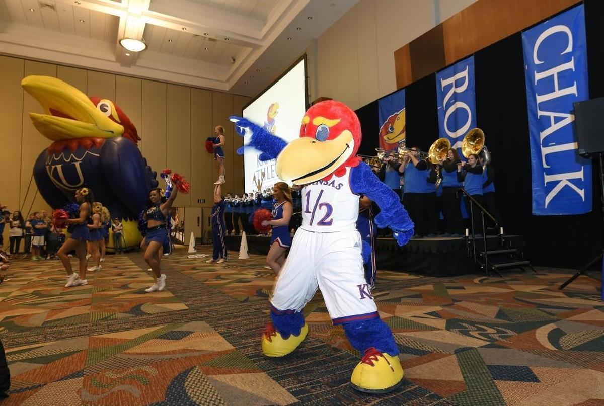 Students who play KU mascot Baby Jay need to be between 4-foot-11 and 5-foot-1, says mascot coach Kamille Ratzlaff. To be Big Jay, the students need to be between 6-foot-1 and 6-foot-3. Most of the time, women are in the Baby Jay suit and men are in the Big Jay suit, but there have been female Bigs and male Babys.