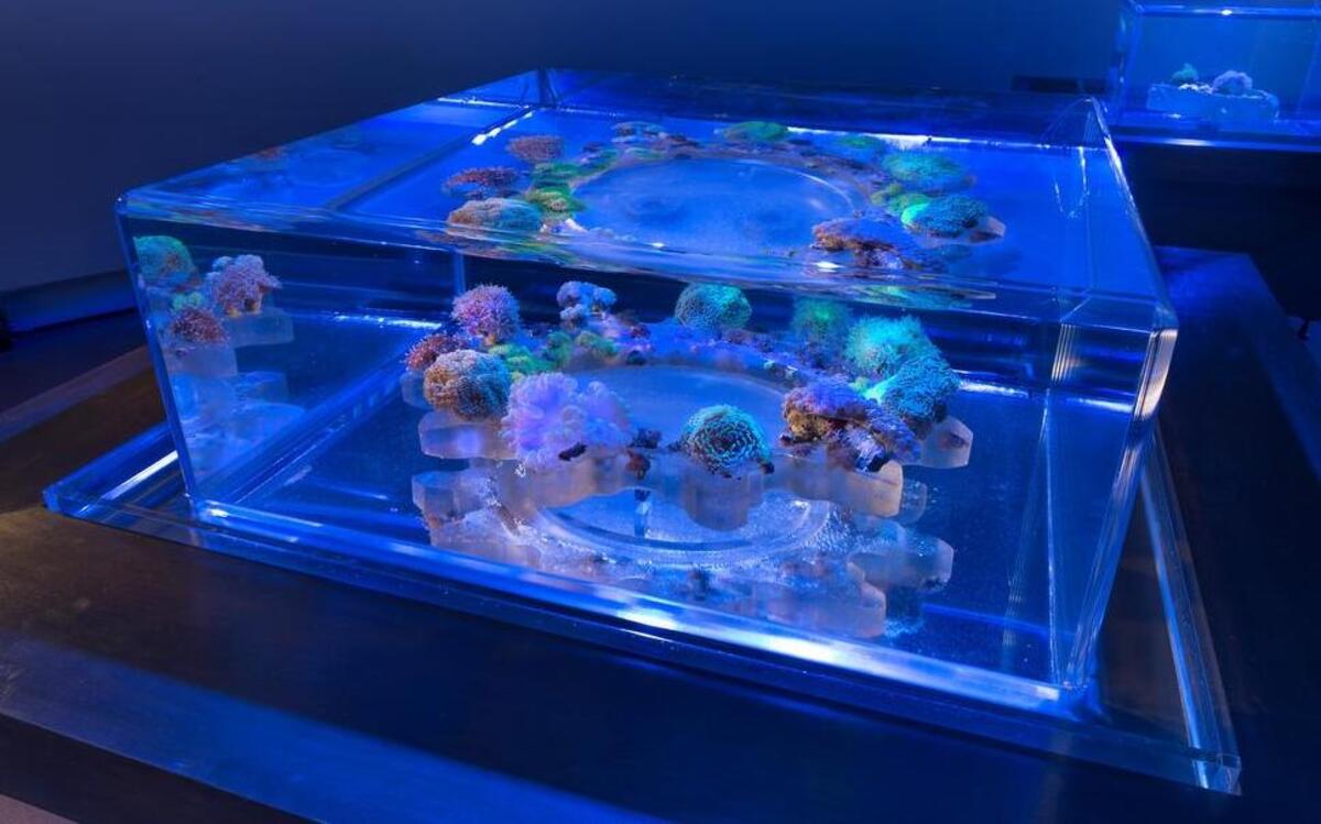 
Glenn Kaino’s “Tank” runs through June 6 at Grand Arts.
