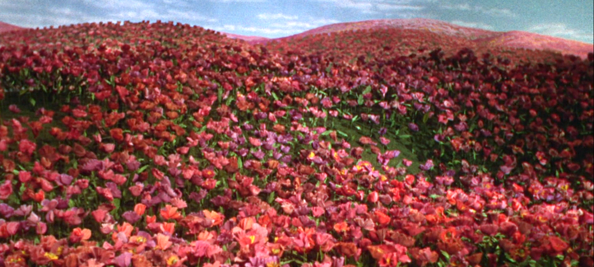 The Theater League production will use scenes from the iconic movie, including the poppy field that Dorothy, Scarecrow, the Cowardly Lion and the Tin Man cross to enter the Emerald City.
