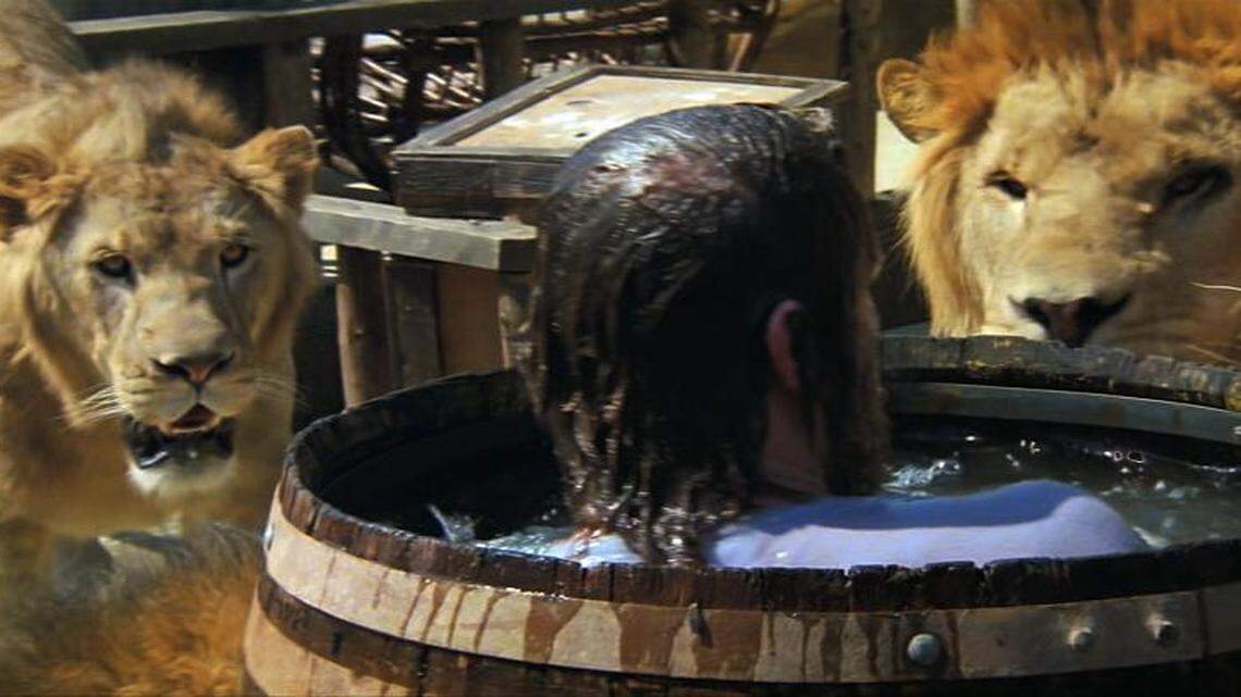 
John Marshall, the director’s son, find himself surrounded by lions. 
