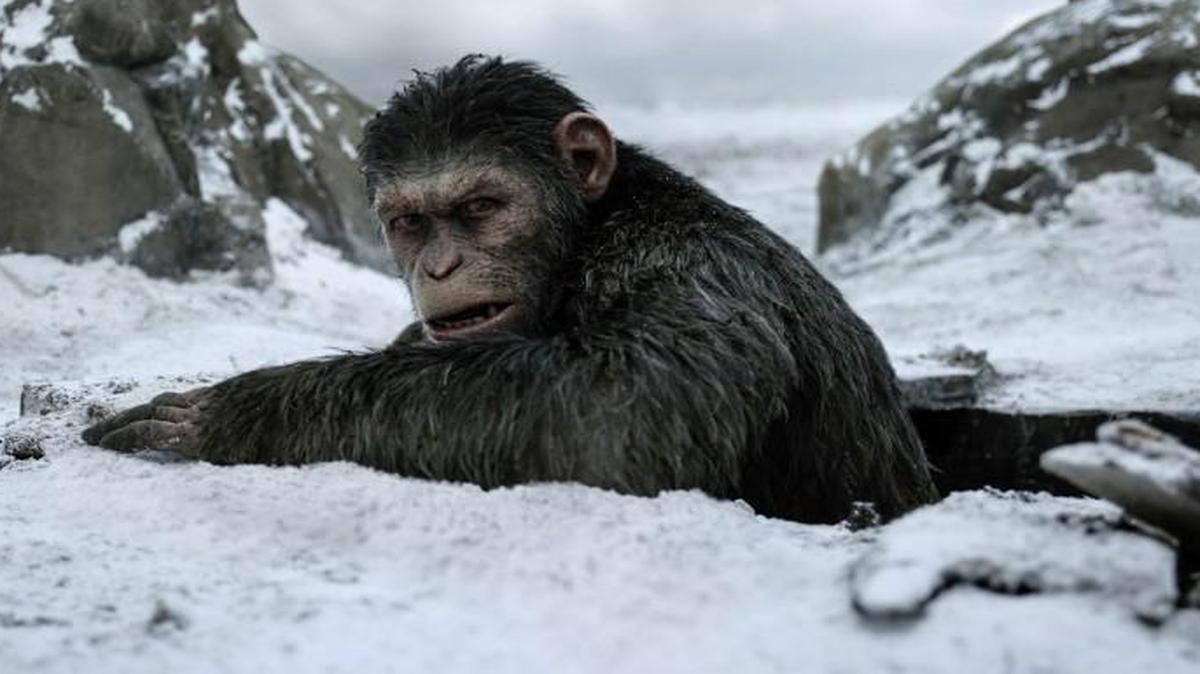 “War for the Planet of the Apes” is the biggest new movie this week.