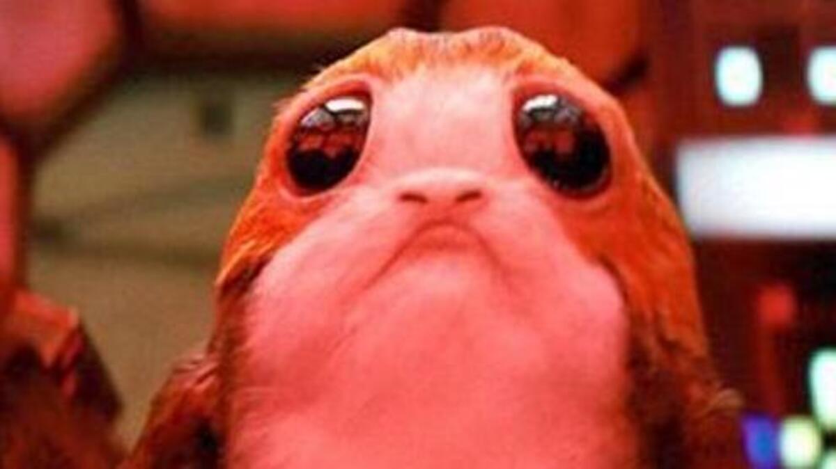 Step aside, BB-8: “The Last Jedi” introduces a new cute creature, the porg.