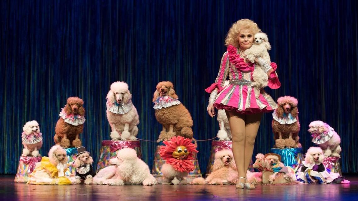 “The Poodle Trainer” by director Vance Malone is part of the “Dog Film Festival,” an anthology curated by Tracie Hotchner.