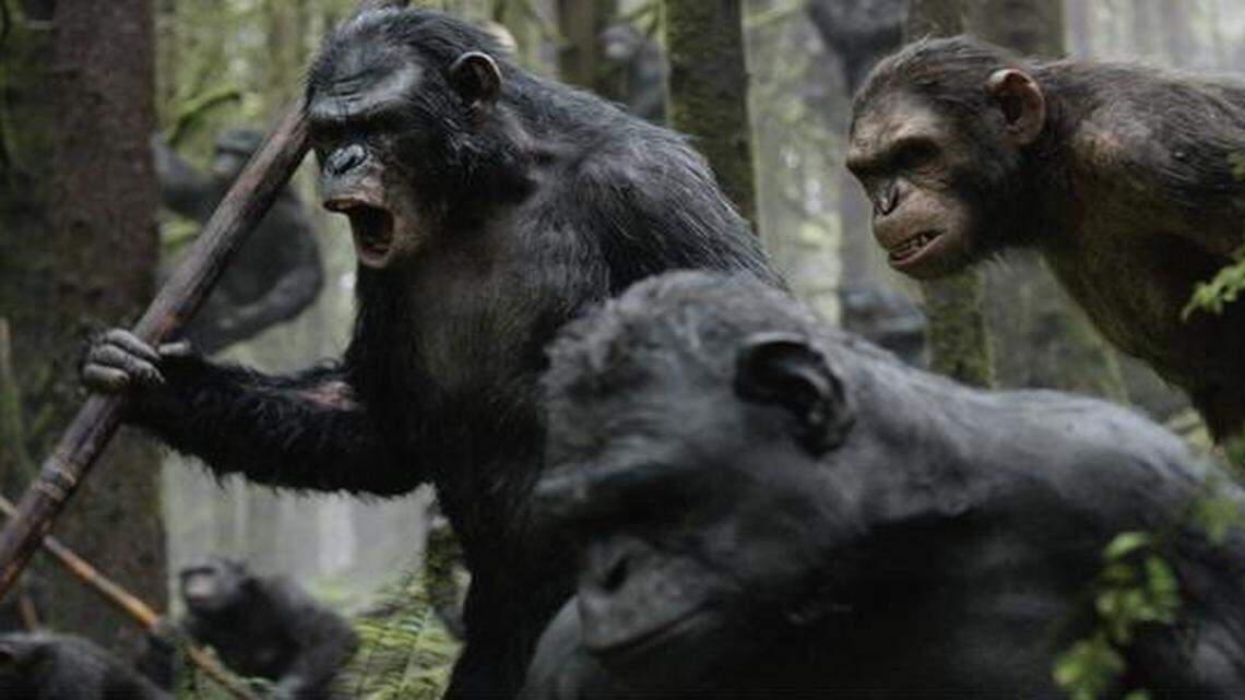 
With militant Koba (Toby Kebbell) stirring up trouble, it’s hard to keep the peace with humans.
