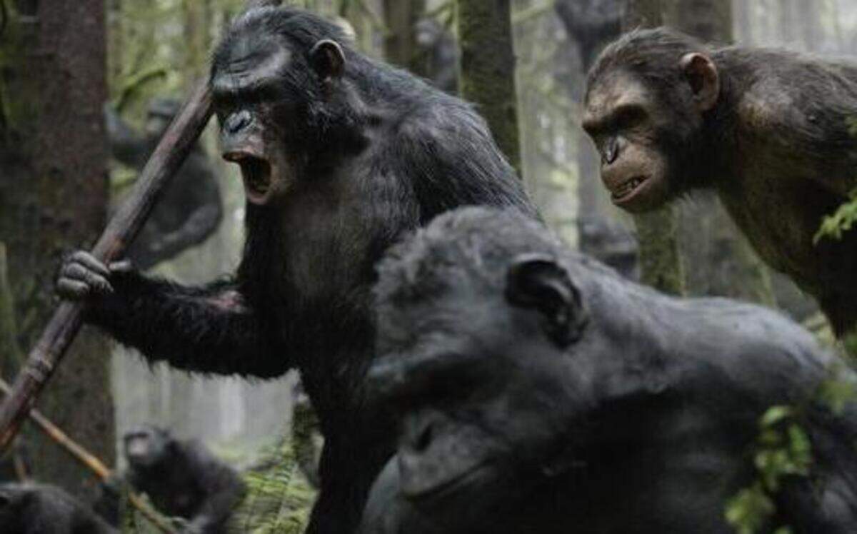 
With militant Koba (Toby Kebbell) stirring up trouble, it’s hard to keep the peace with humans.
