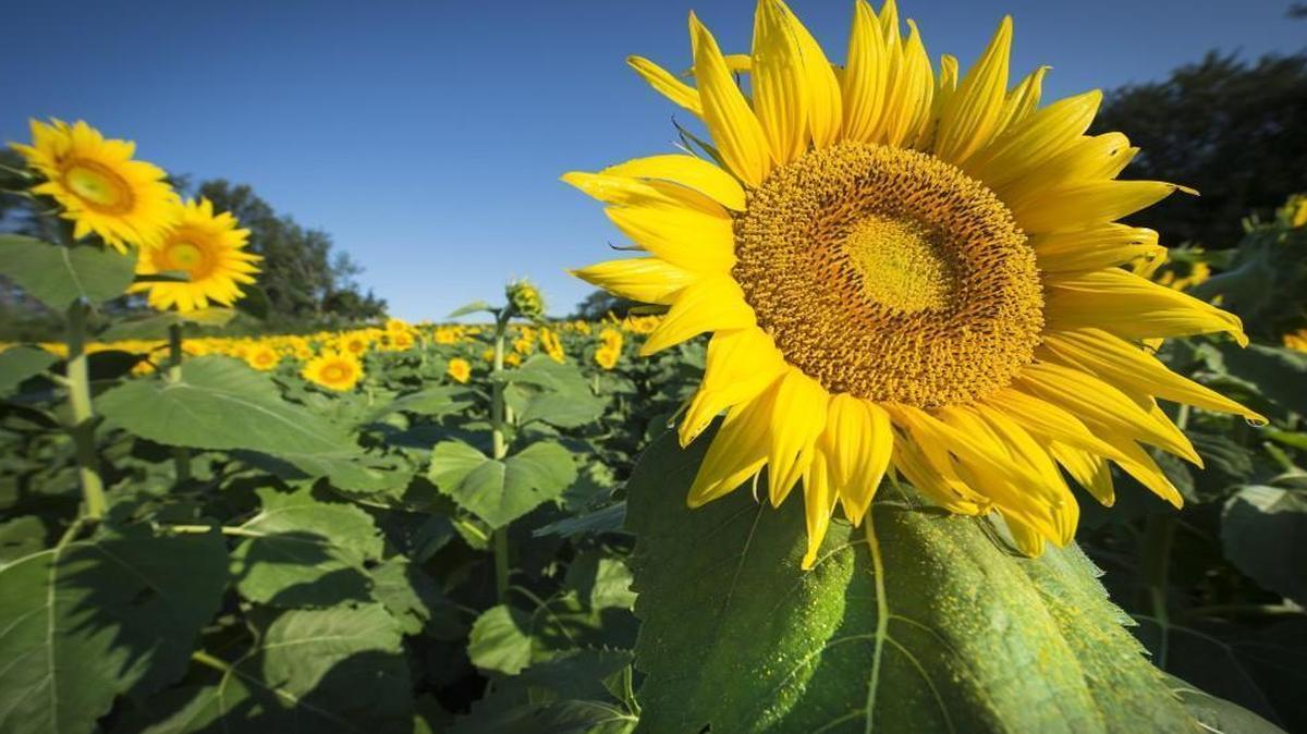 Send us your photos that showcase Kansas’ beauty.