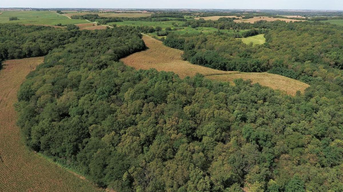 Barnes Realty provides extensive information about every property they sell, such as aerial photography, land surveys and more.