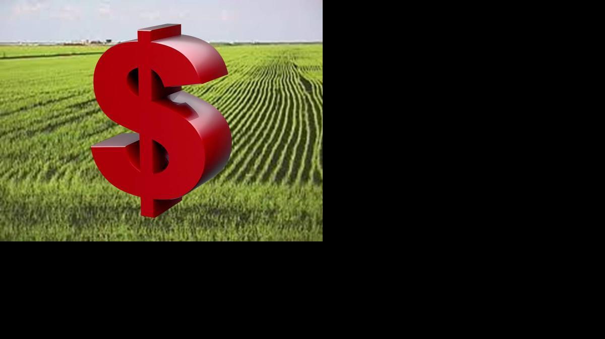 
The most common way for investors to determine if they are interested in cropland is to attend one of Farmers National Company’s popular series of seminars for cropland investors. 
