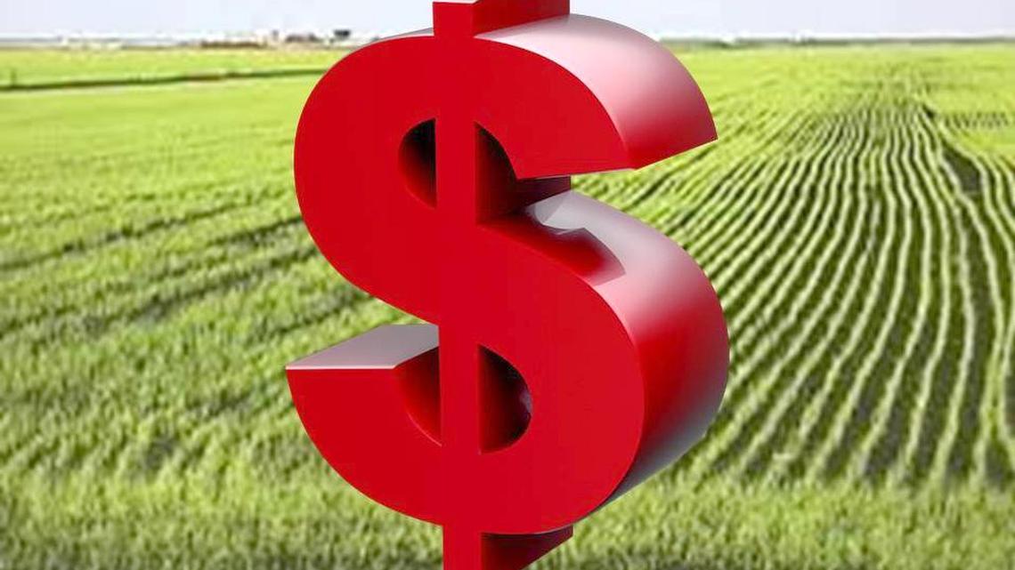 Attend one of Farmers National Company’s popular series of seminars for cropland investors. The next seminar is March 15th. Seating is limited, so while the seminar is free, attendees are asked to register.