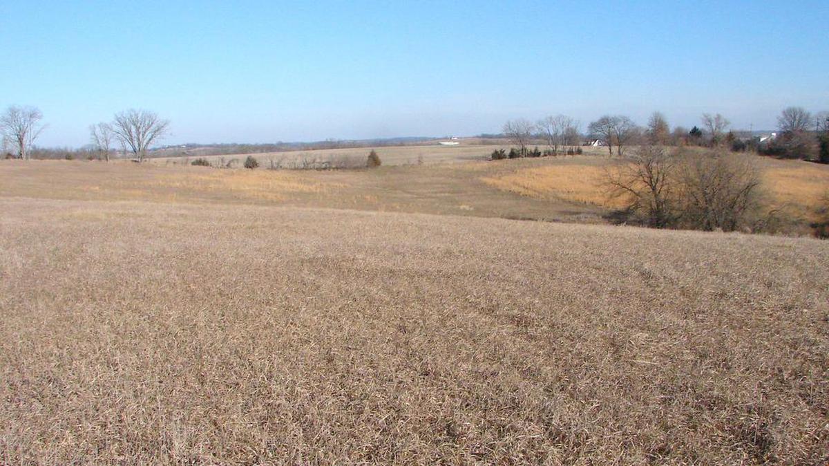 Properties available now from Farmers National are perfect for estate homes, hunting and recreation, development, or horse property.