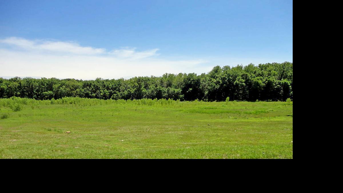 
Thirteen new oversized lots in The Reserve neighborhood of Polo Fields are now available, giving prospective homeowners a limited opportunity to purchase a premium location, many of which back to protected green space and trees.
