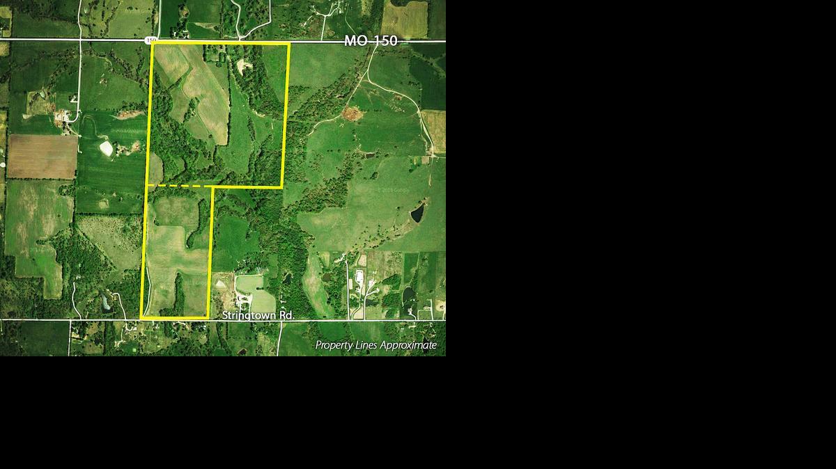 
These 237 acres along Missouri Highway 150 in Lake Lotawana, Mo., in two tracts will sell at absolute auction on Nov. 21.
