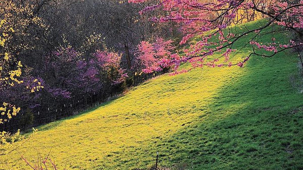 The Communities of River Ridge are tucked away in the gently rolling terrain of southern Johnson County, enveloping homeowners in idyllic scenery that’s only minutes from the flourishing 151st Street corridor.