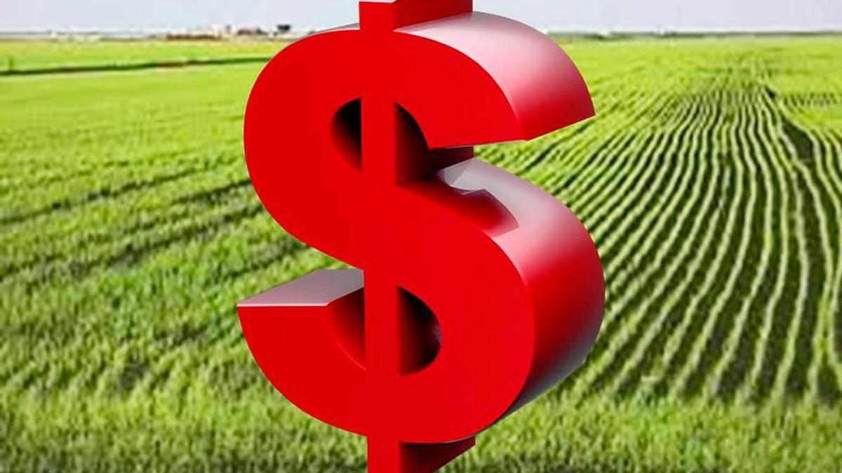 To help shed some light on issues surrounding the sale of farmland, Farmers National Company, the world’s largest farm management and farm real estate company is sponsoring a seminar.