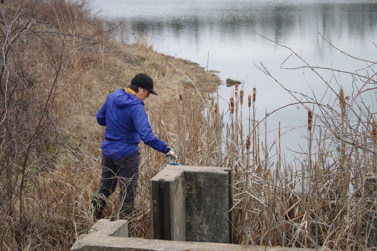 Lawrence resident Lisa Grossman taps one of the checkpoints at the Prairie Center reserve in Olathe during a Possum Trot Orienteering Club event March 7.