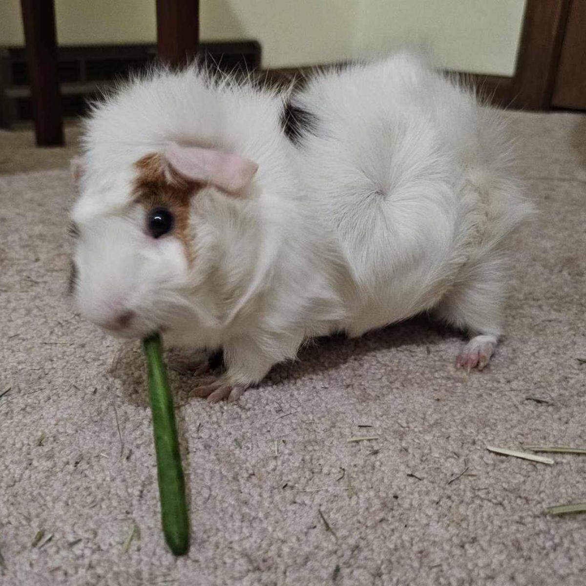 Nimbus