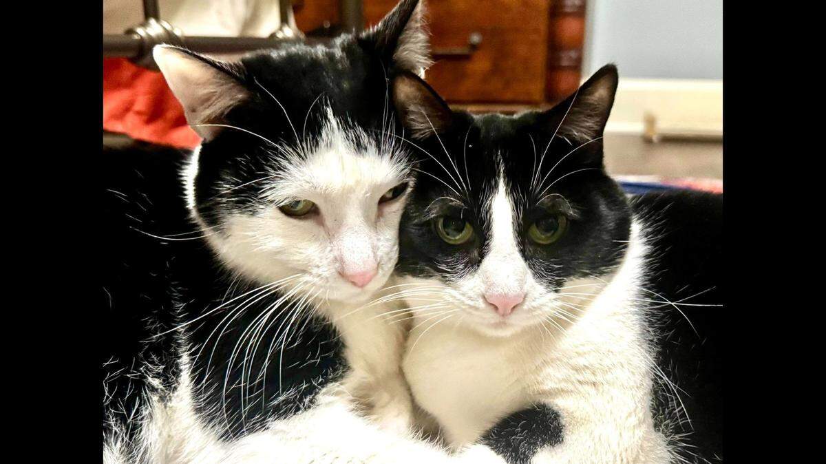 Gemma and Dinky