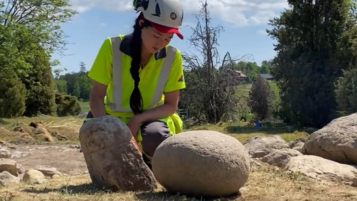 Archaeologists excavating an Iron Age cemetery in Tystberga unearthed a carved stone penis and stone egg used as tombstones for a grave, photos show.