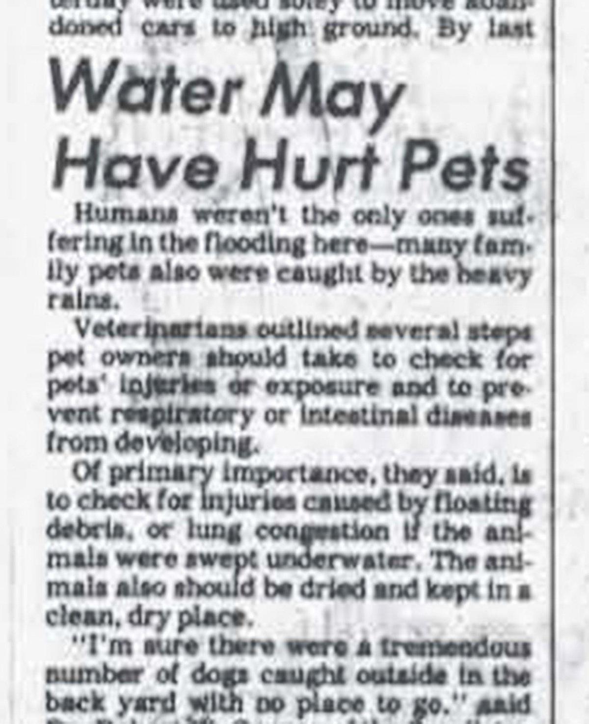 The Star and Times did little reporting on Black communities along Brush Creek, but the Sept. 14, 1977, Times did report that pets may have been hurt by the floodwaters.