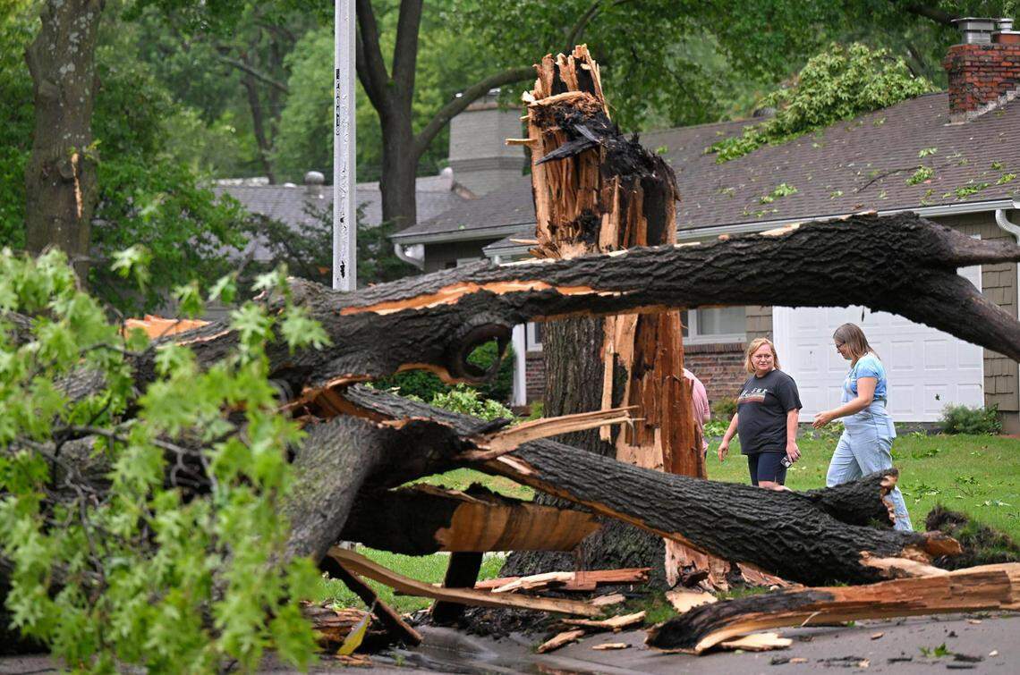 After severe storms ripped through the metro area, a large tree blocked Tomahawk Road near 78th Street on July 14, 2023, in Prairie Village.