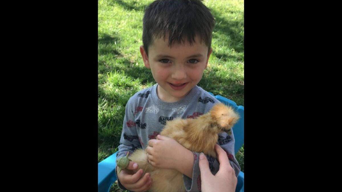 The Benton County Sheriff’s Department has issued an endangered person advisory after 4-year-old Grayson T. Darnell was taken early Sunday from his grandparents, allegedly by his mother, Julie M. Darnell, 36.