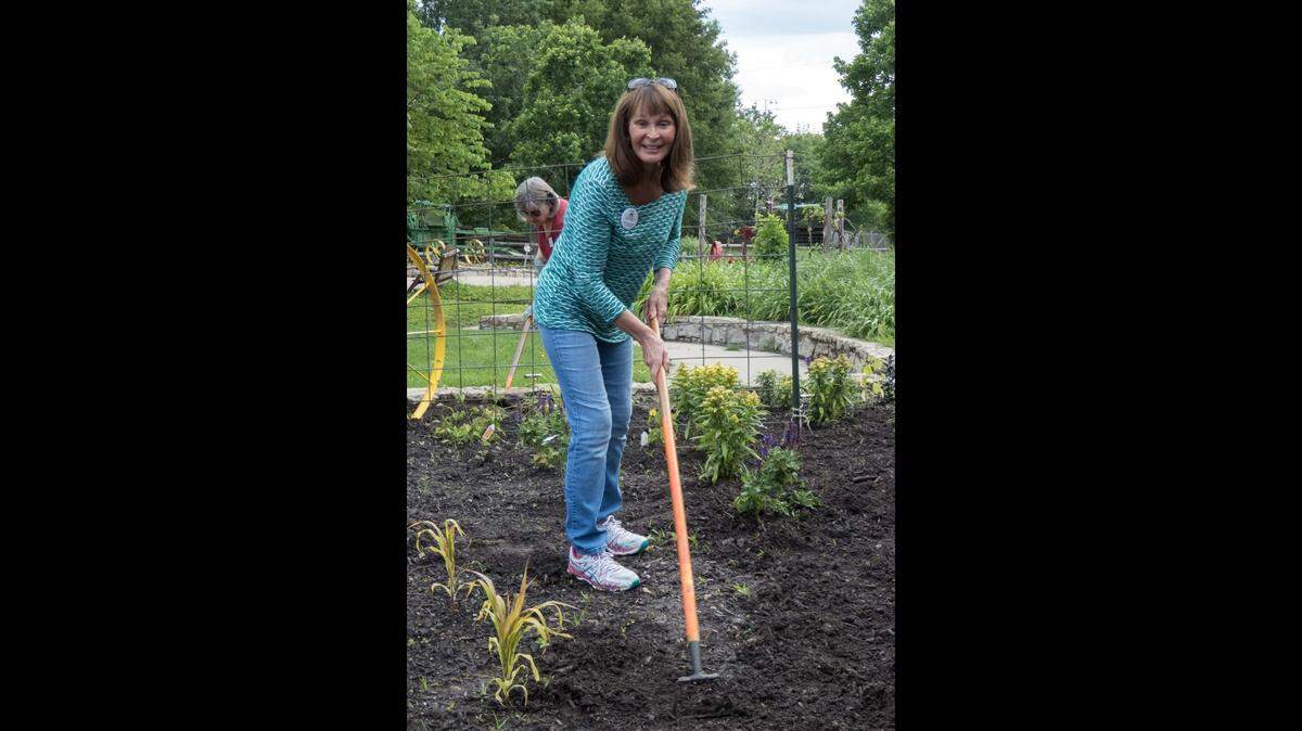 Kansas State University Research and Extension Master Gardener Becky Hannah digs out weeds at Deanna Rose Gardens.