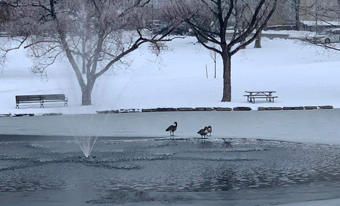 Lenexa has purchased equipment that can clear snow from recreational trails, as well as school crossings.