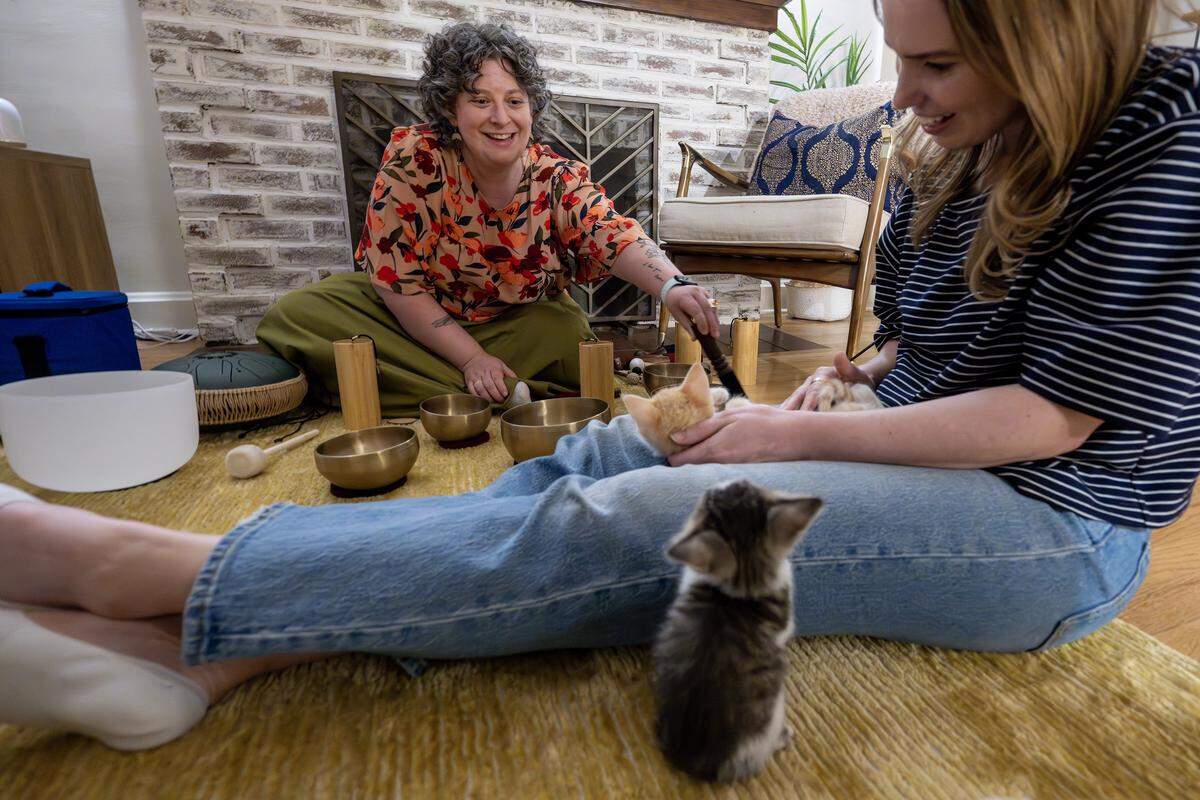 Joann Schermerhorn, left, and Melanie Meyers smile as the kittens' ears perk up while Schermerhorn plays singing bowls during a session on Thursday, Aug. 7, 2025, in Kansas City. Schermerhorn uses singing bowls, chimes and other instruments to help calm stressed cats.