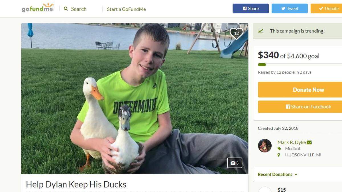 A family is raising money to help pay legal bills in the fight to keep their 12-year-old son’s emotional support ducks at their home in Georgetown Township, Michigan. Neighbors have complained about the ducks wandering outside.