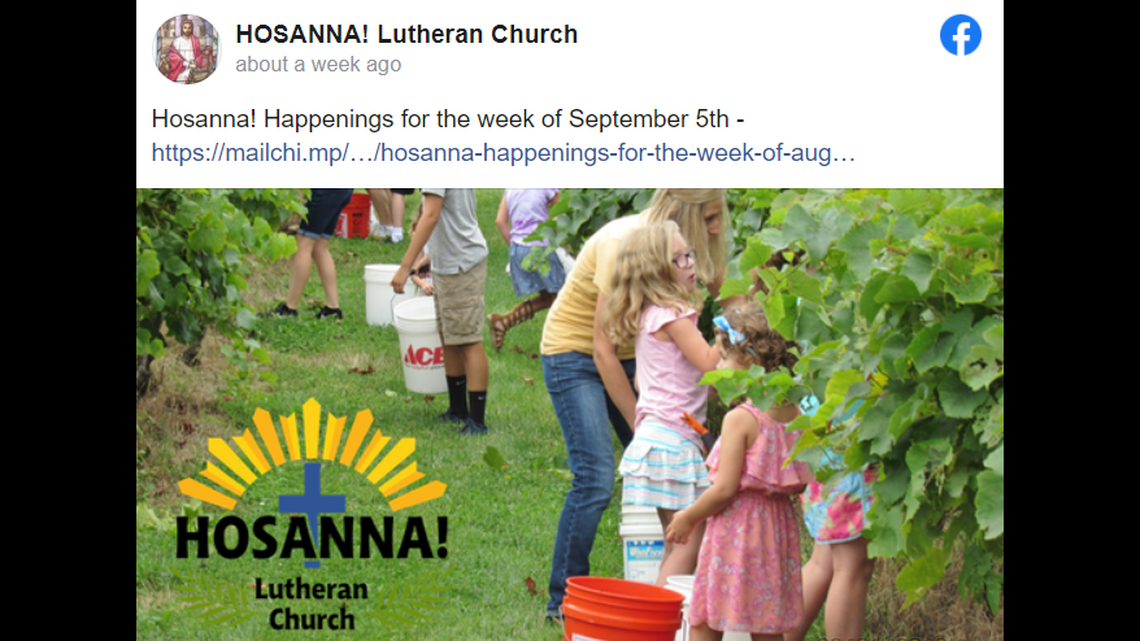 Grapes meant for communion wine were stolen from Four Horses and a Dog Winery, a Missouri church says.