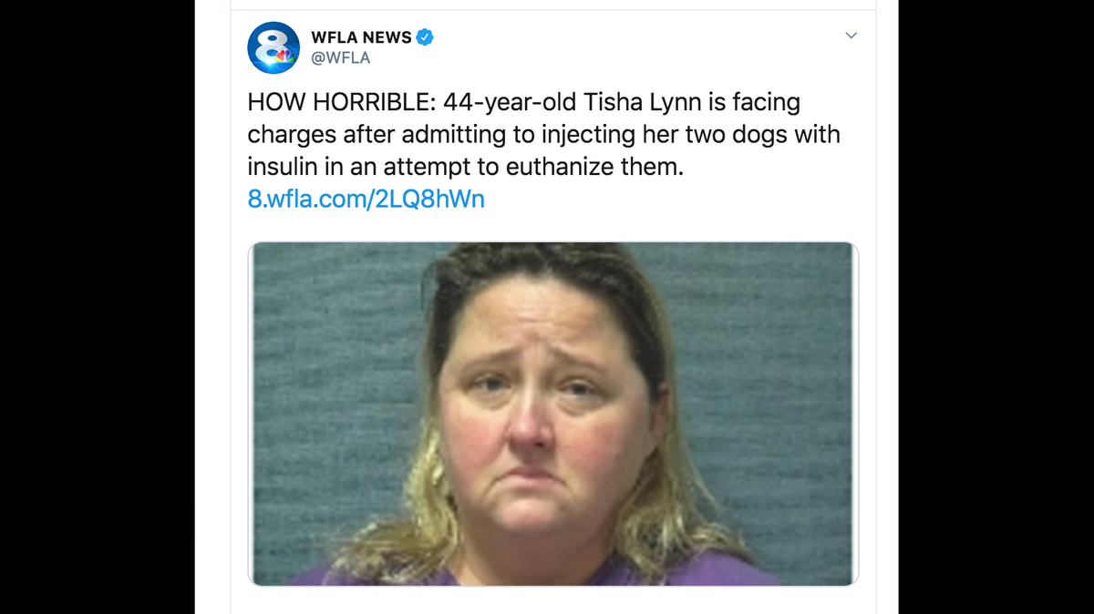Ohio police say Tisha Lynn, 44, injected her dogs with insulin when she was ordered to put them down.