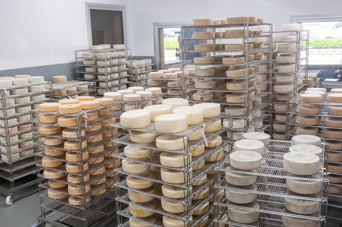 Green Dirt Farm’s Prairie Tomme ages on shelves at Green Dirt on Oak.