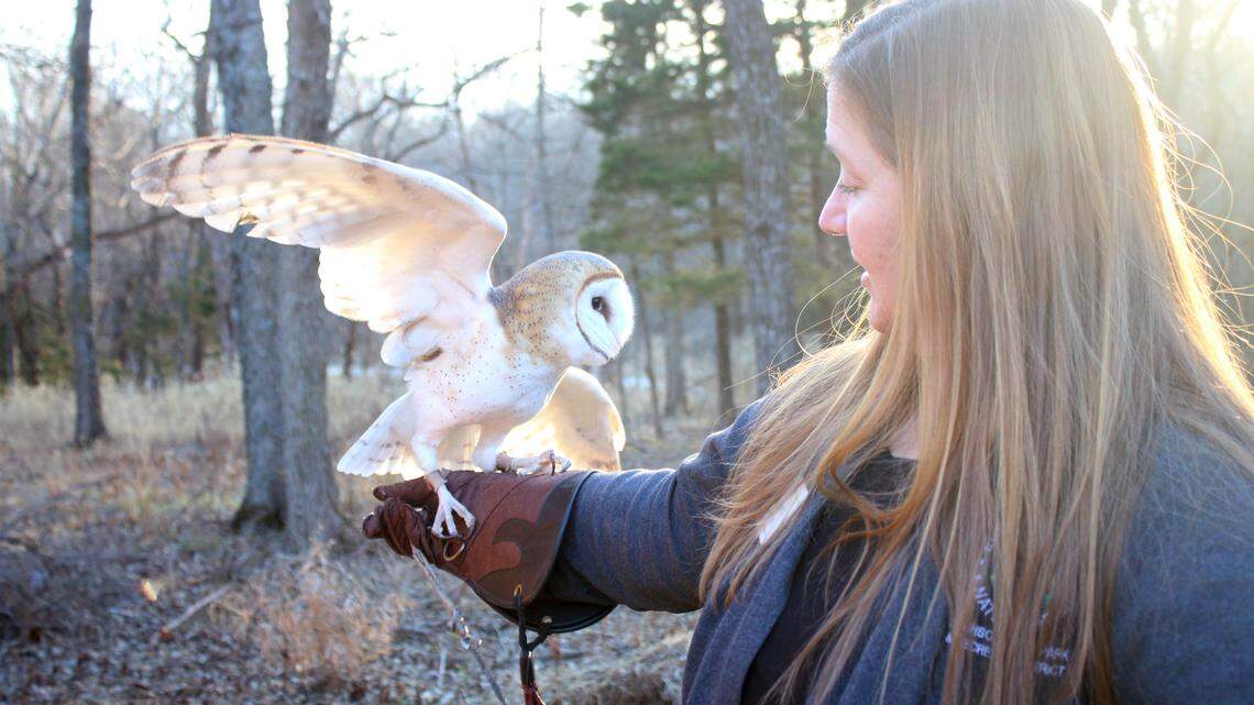 Meet the owls that educate Johnson County kids at nature center