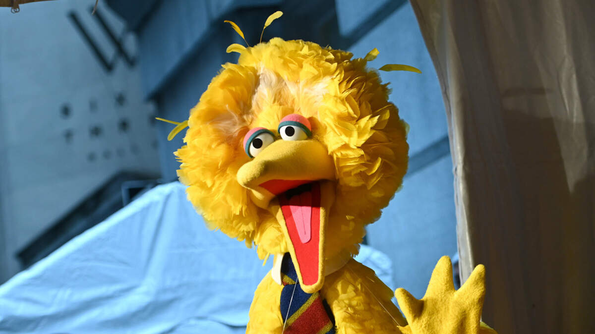 Sorry, Big Bird — you’re better off raising your own money.