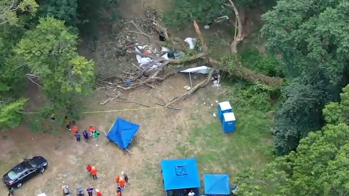 A high school reunion party in Philadelphia was interrupted when a tree came crashing down on eight attendees, officials say.