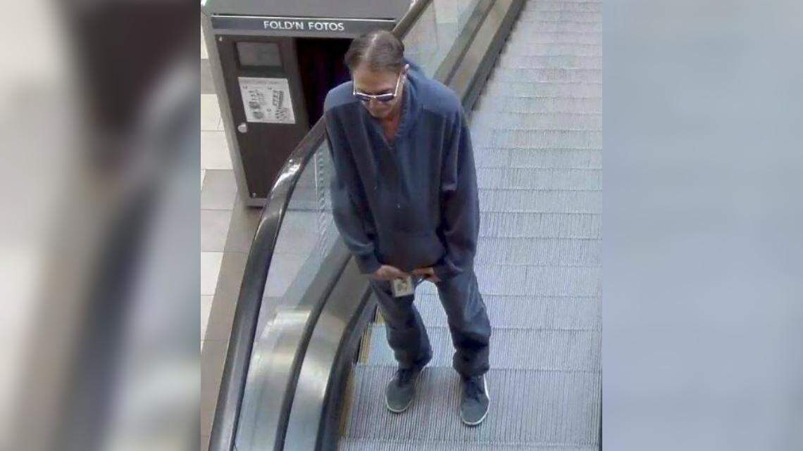 Overland Park police are asking for the public's help in identifying a male who allegedly took a kitten from a pet store in the 11400 block of West 95th Street on Feb. 17, 2018.