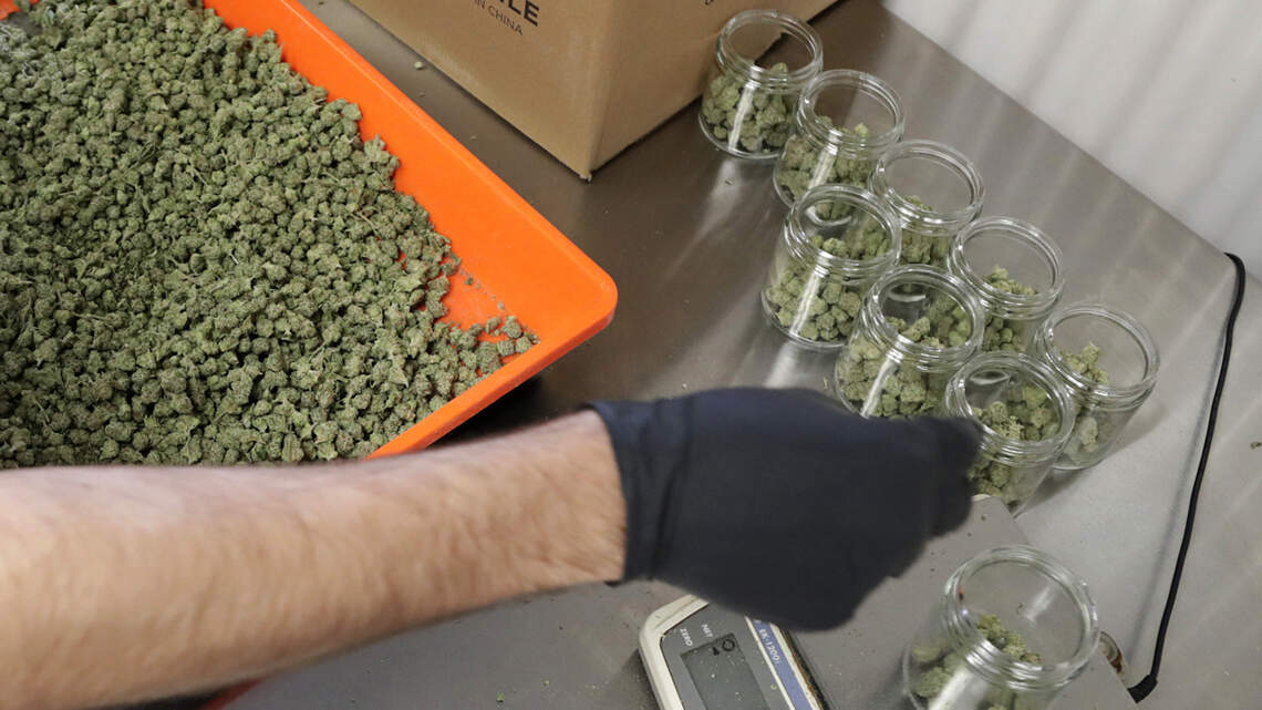 Recreational pot in Missouri? Here’s the editorial board recommendation on Amendment 3