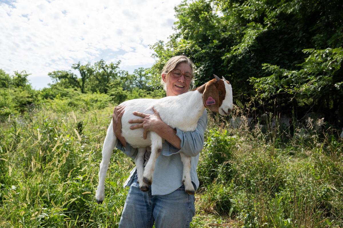 Katherine Kelly catches a young goat for some routine care on her farm. Kelly says the babies are full of energy and life and can be bratty just like a human child.