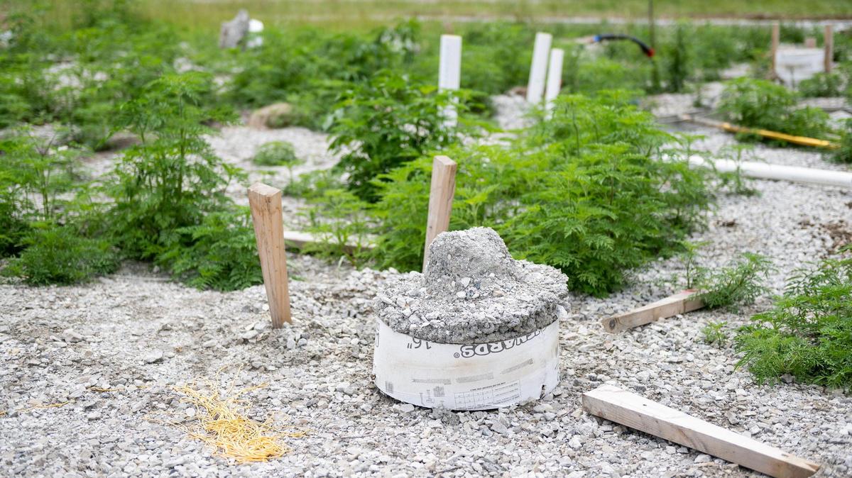 Concrete overflows a forming tube at the construction site of a new home Nathan and Kristyn Frazee planned to build near Warrensburg, Missouri.
