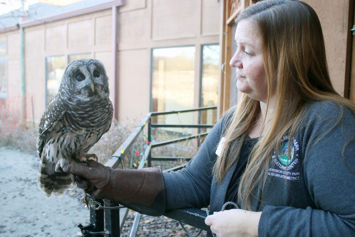 A barred owl spends some time with Andrea Joslin, outdoor education director at Ernie Miller Nature Center. The owl originally came from Topeka and has been at Ernie Miller since 2008.