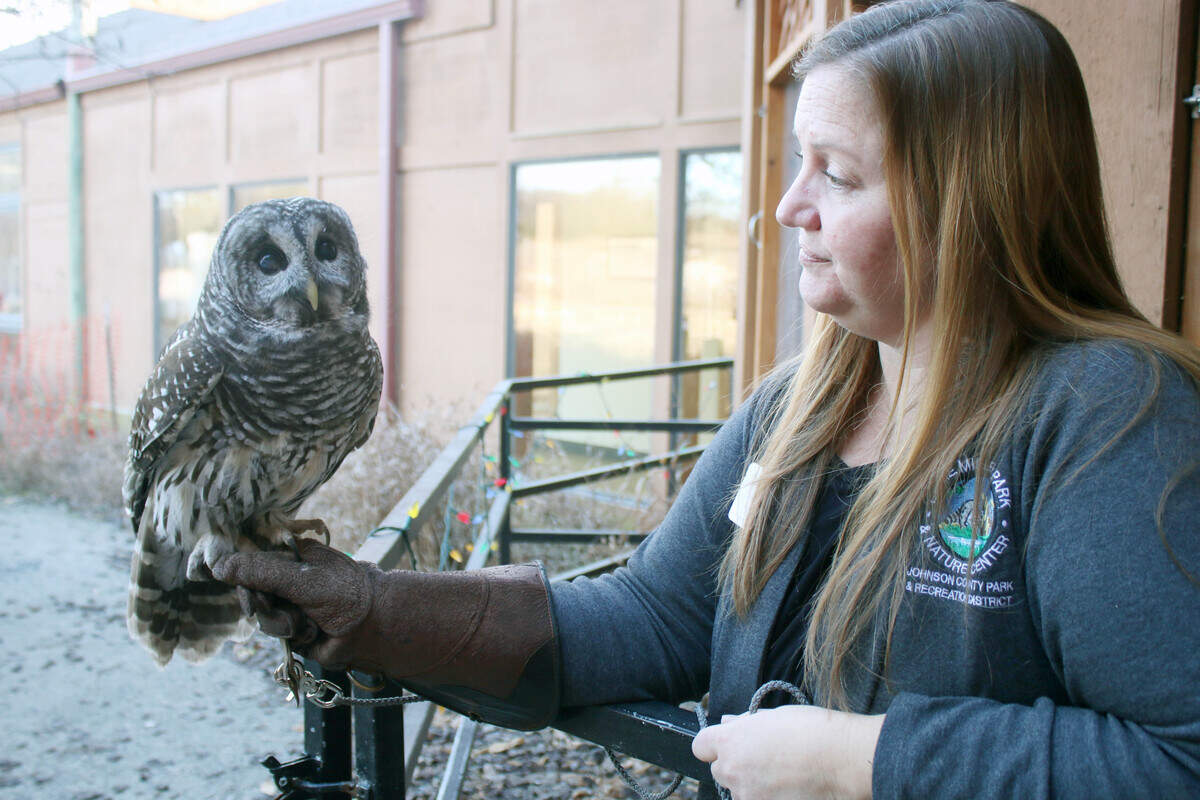 A barred owl spends some time with Andrea Joslin, outdoor education director at Ernie Miller Nature Center. The owl originally came from Topeka and has been at Ernie Miller since 2008.