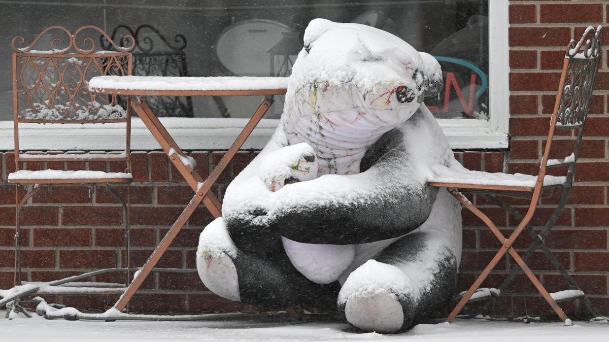 A stuffed panda in North Kansas City was left to face wintry weather alone as two to four inches of snow blanketed the Kansas City area Saturday morning, Jan. 15, 2022.