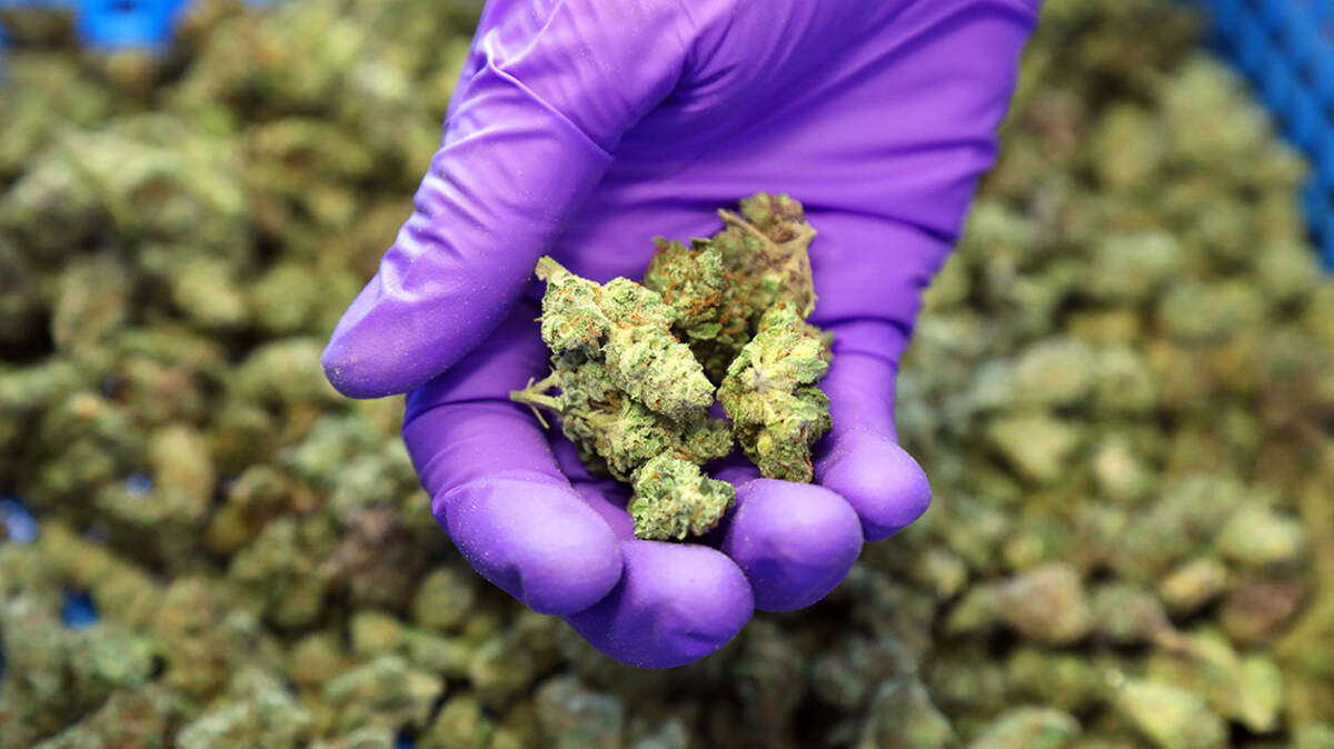 Medical marijuana legislation currently working its way through Jefferson City is an important first step.