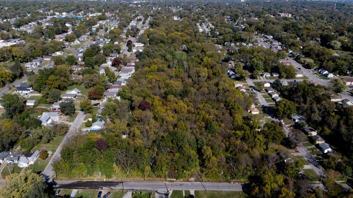 An aerial view shows a large forested area owned primarily by the Kansas City Land Bank and Homesteading Authority in the Palestine area, north of 37th Street between Mersington and Norton avenues, that residents want transformed into a community greenspace or park.